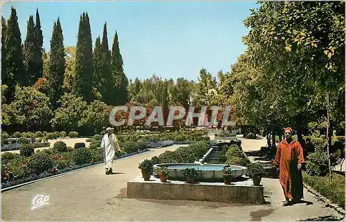 Cartes postales moderne Fes - Entree du Jardin Bou Jeloud