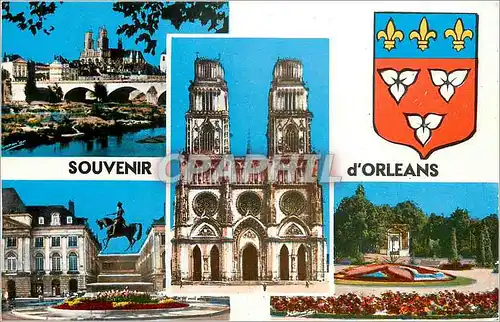 Cartes postales moderne Souvenir d'Orleans