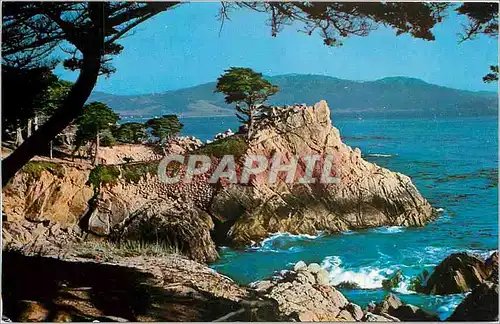 Cartes postales moderne Midway Point