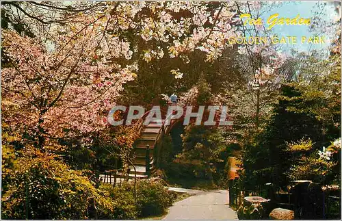 Cartes postales moderne Japanese Tea Garden in Golden Gate Park San Francisco