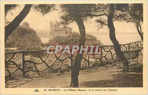 Cartes postales Biarritz - Le Chateau Basque vu a travers les Tamaris