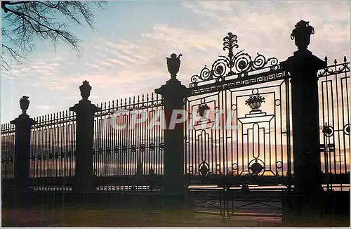 Cartes postales moderne Leningrad Grille of the Summer Gardens