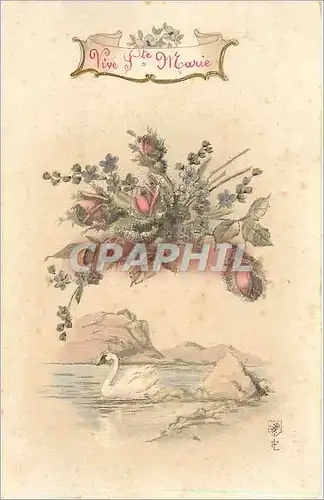 Cartes postales Vive Ste Marie Fleurs Cygne