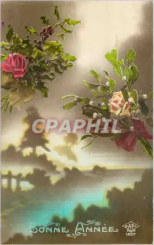 Cartes postales Bonne Annee