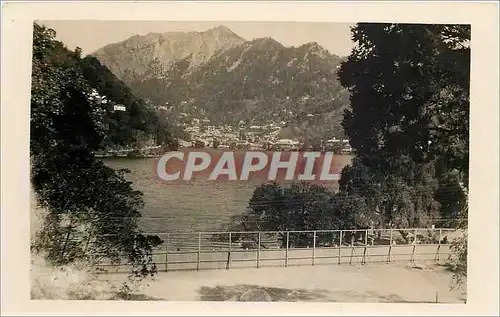 CARTE PHOTO Paysage