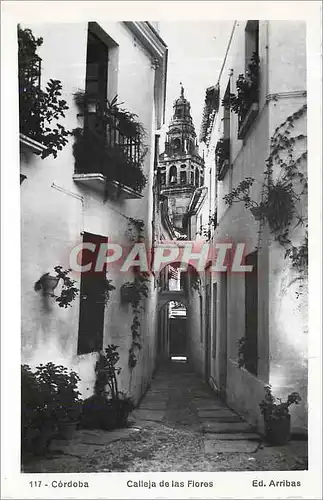 Cartes postales moderne Cordoba Calleja de las Flores