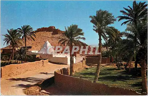 Cartes postales moderne El Golea Le vieux Ksar de l'ancienne Taourit