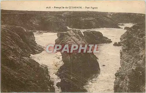 Cartes postales Presqu'ile de Quiberon Port Pigeon
