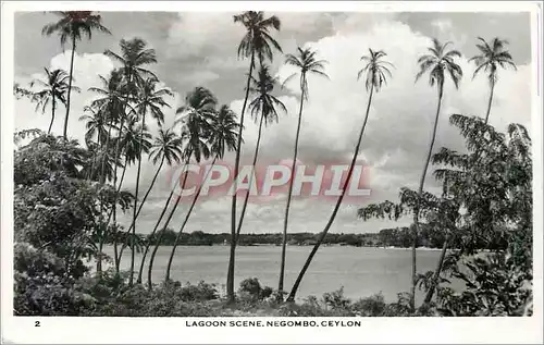 Cartes postales moderne Lagoon Scene Negombo Ceylon