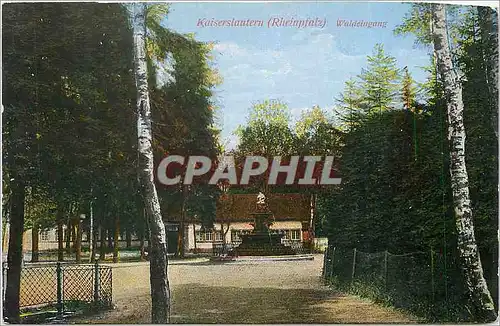 Cartes postales Kaiserslautern Waldeingang