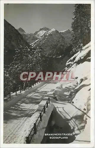 Cartes postales Brandnerstrasse Scesaplana