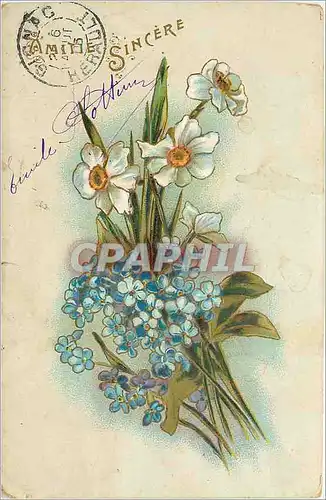 Cartes postales Amitie Sincere Fleurs