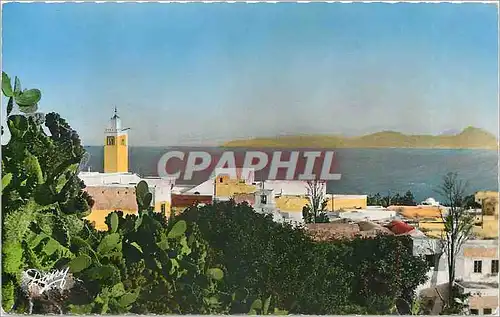 Cartes postales moderne Sidi Bou Said Tunisie Vue generale sur le Golfe