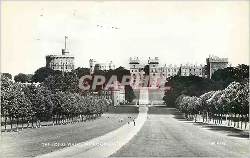 Cartes postales moderne The Long Walk Windsor Castle