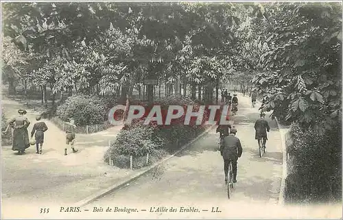 Ansichtskarte AK Paris Bois de Boulogne L'Aillee des Erables Velo Cycle