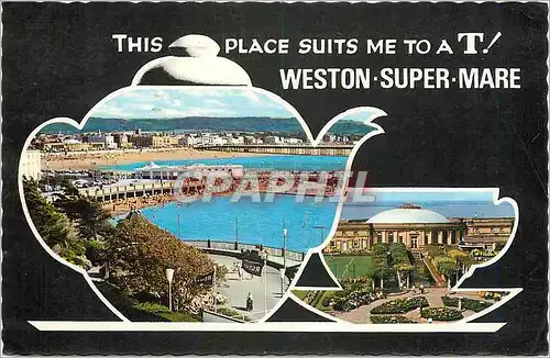 Cartes postales moderne This Place suits met to a T Weston Super Mare