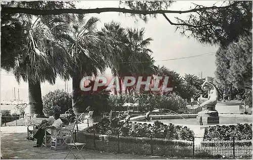 Cartes postales moderne Cannes Un coin des Jardins