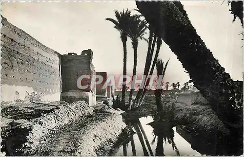 Cartes postales moderne Marrakech Rempart et Palmeraie