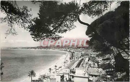 Cartes postales moderne Les Bords de la Riviera Nice Vue Panoramique sur le Baie des Anges