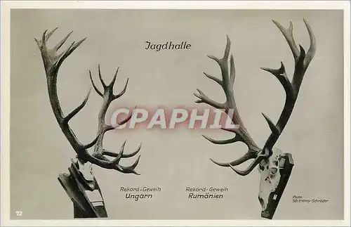 Cartes postales Jagdhalle Rekord Gewein Ungarn