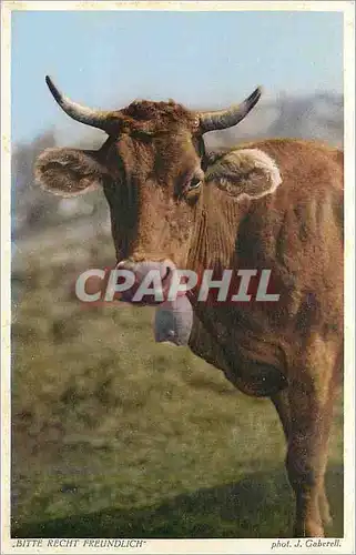 Cartes postales Bitte Recht Freundlich Vache