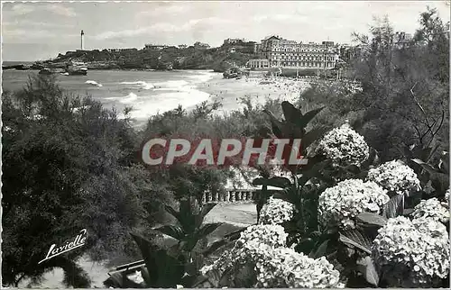 Ansichtskarte AK Biarritz Les Hortensias et vue sur le Phare