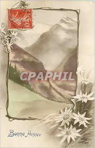 Cartes postales Bonne Annee Fleurs