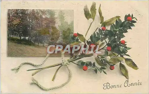 Cartes postales Bonne Annee