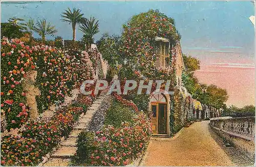 Cartes postales Florique Artistique Entree Fleurie de Villa Cote d'Azur