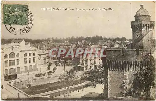 Cartes postales Perpignan Panorama Vue du Castillet