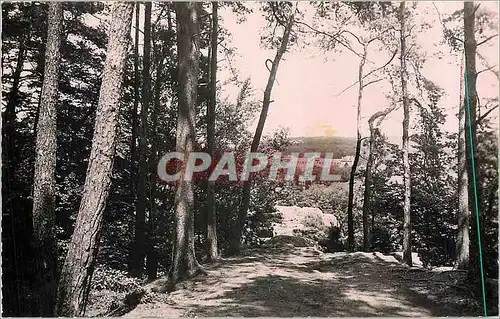 Cartes postales Bagnoles de l'Orne Vue prise du Roc au Chien