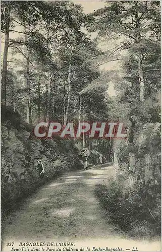 Cartes postales Bagnoles de l'Orne Sous Bois dans le Parc du Chateau de la Roche Bagnoles