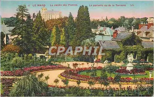 Cartes postales Le Mans Le Jardin des Plantes Le Parterre vu de la Terrasse