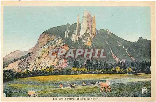 Cartes postales Les Trois Pucelles de Saint Nizier Vaches