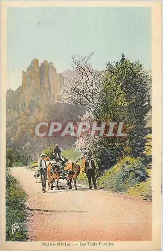 Cartes postales Saint Nizier Les Trois Pucelles Attelage de B�ufs