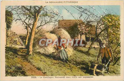 Cartes postales La Normandie Pittoresque La Campagne Normande dans toute son expression Folklore