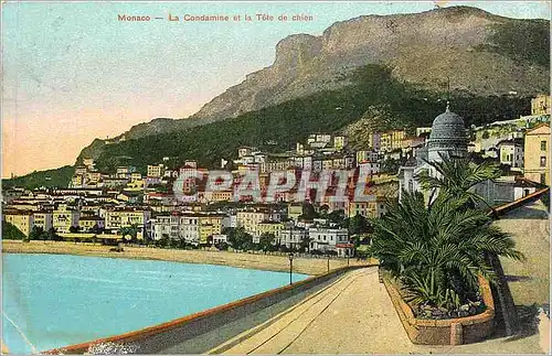 Cartes postales Monaco La Condamine et la Tete de chien