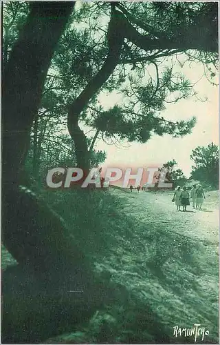 Cartes postales L'Ile d'Oleron Allee de la Plage de Vert Bois