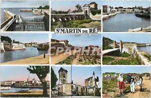 Cartes postales moderne St Martin de Re Ane Mule
