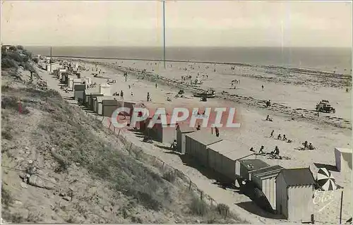 Cartes postales Ile De Re Chte Mme La Couarde La Magnifique Plage vers le Bois