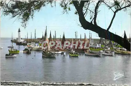 Cartes postales moderne Ile d'Oleron Chte Mme Le Port de la Cotiniere Bateaux