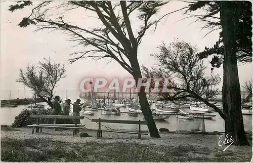 Cartes postales moderne Ile d'Oleron Chte Mme La Cotiniere Le Raccommodage des Filets au Port Bateaux