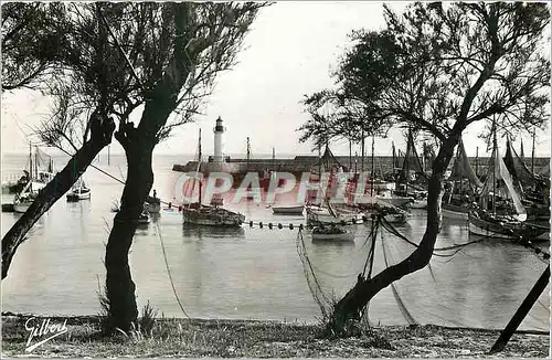 Cartes postales moderne Ile d'Oleron Chte Mme Le Port de la Cotiniere  Bateaux