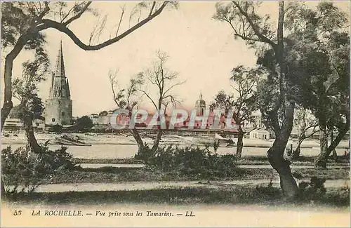 Cartes postales La Rochelle Vue prise sous les Tamarins