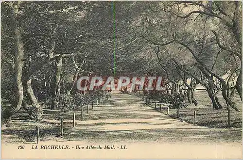 Cartes postales La Rochelle Une Allee du Mail