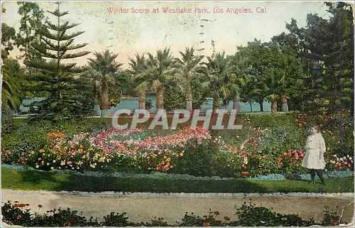 Cartes postales Winter Scene at Westlake Park Los Angeles