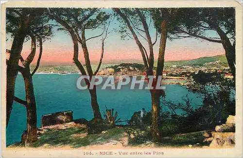 Cartes postales Nice Vue entre les Pins