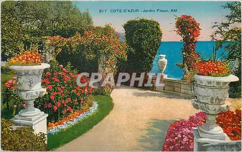 Cartes postales Cote d'Azur Jardin Fleuri