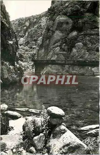 Cartes postales Amelie les Bains Gorges du Mondony