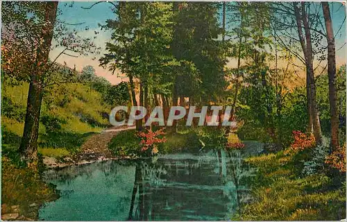 Cartes postales Vichy Les Bords du Jolan aux Malavaux